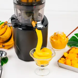 KUVINGS - REVO830 Slow Juicer Estrattore Succhi