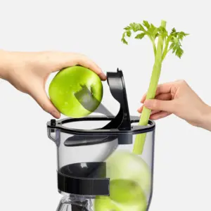 KUVINGS - Master Chef CS600 Estrattore Succhi Professionale - immagine 5